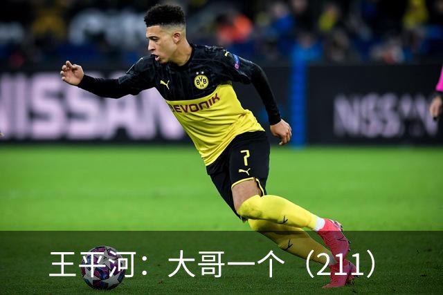 王平河：大哥一个（2/11）